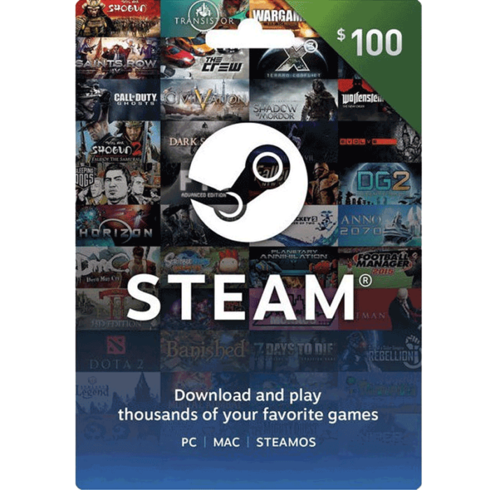 steam禮物卡100美金