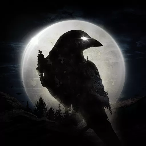 NIGHT-CROWS